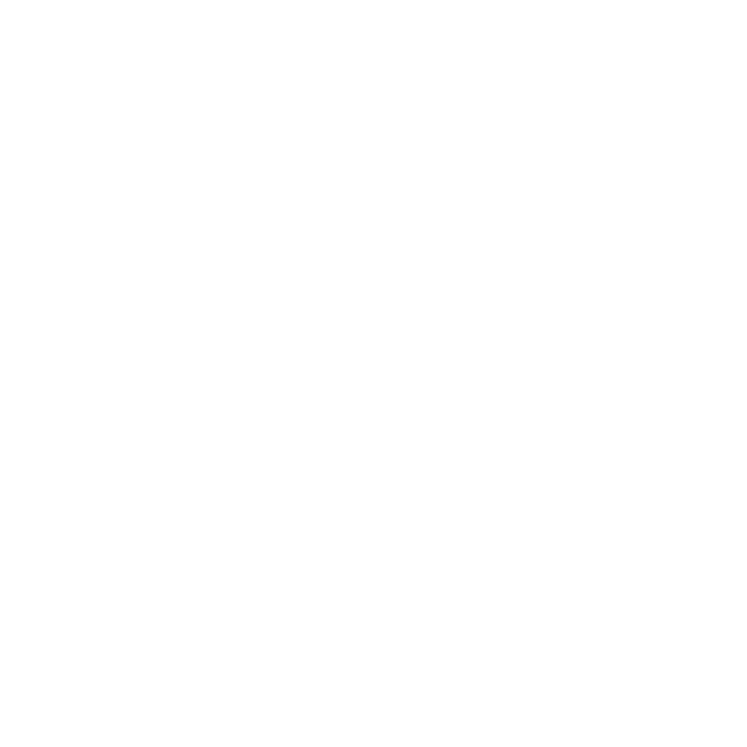 Arroyo Blanco Longhorns Logo